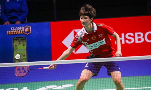 皇家社会采 皇家社会采