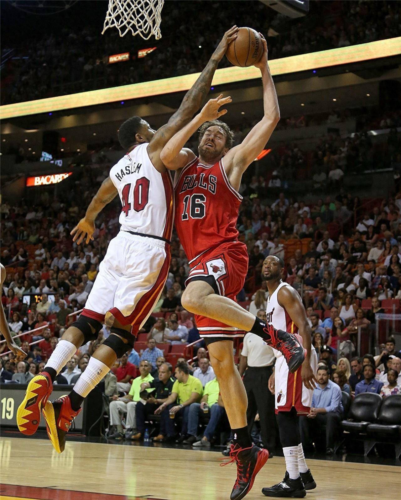 定将精彩纷 定将精彩纷