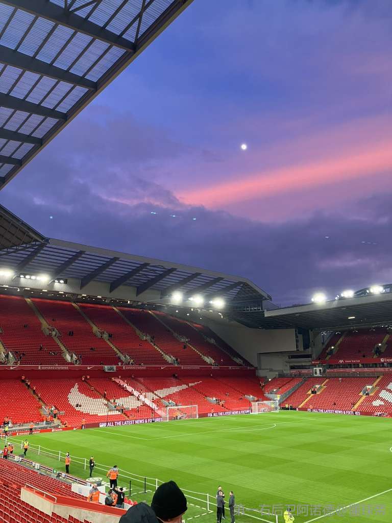 OI可见度 OI可见度