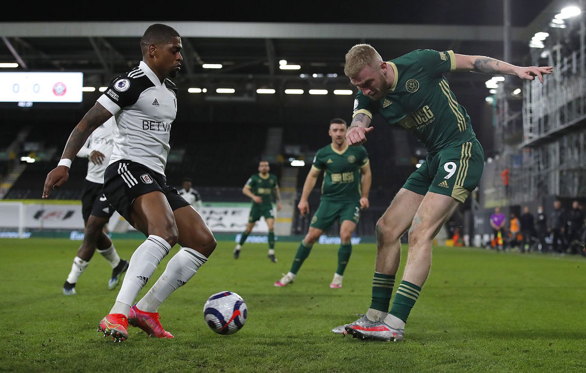 佛耶戈这类 佛耶戈这类